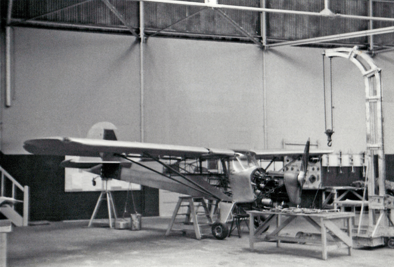 Auster